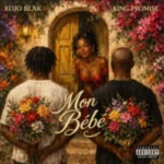 The current image has no alternative text. The file name is: Kojo-Blak-–-Mon-Bebe-Ft-King-Promise-scaled-1.webp