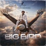 The current image has no alternative text. The file name is: Lyrical-Joe-–-Oheneba-Abronoma-Big-Bird-mp3-image-300x300-1.jpg